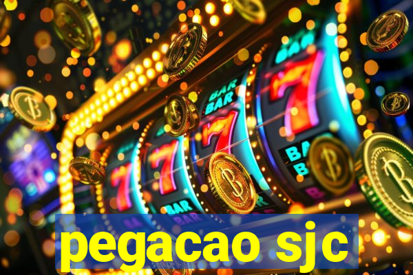 pegacao sjc